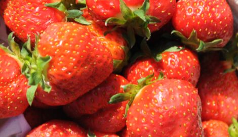 La Ninfea Strawberries and Cream Strawberries and Cream La Ninfa
